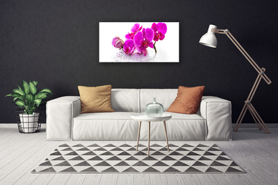 Quadro canvas Flores Planta Natureza