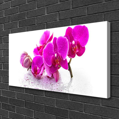 Quadro canvas Flores Planta Natureza