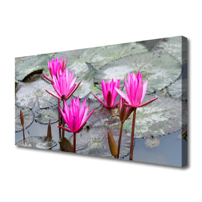 Quadro em tela Flores Planta Natureza