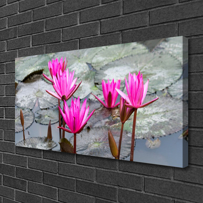 Quadro em tela Flores Planta Natureza