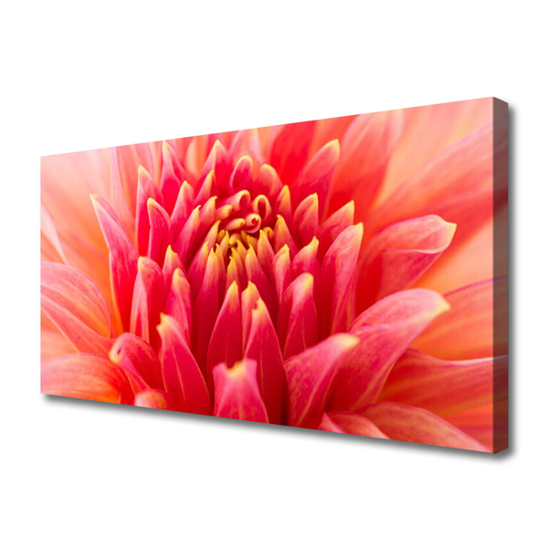 Quadro canvas Flor Planta Natureza