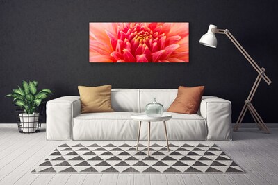 Quadro canvas Flor Planta Natureza