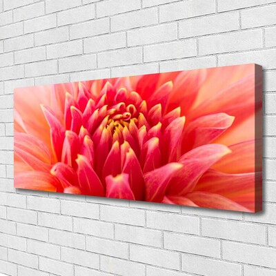 Quadro canvas Flor Planta Natureza