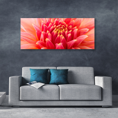 Quadro canvas Flor Planta Natureza