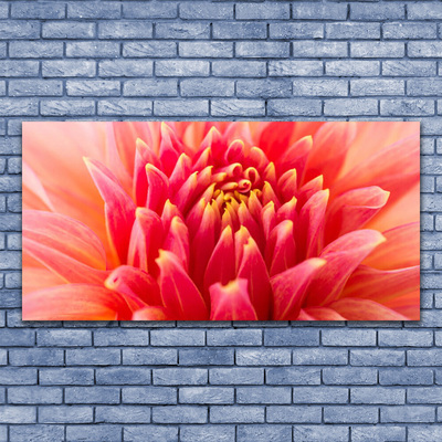 Quadro canvas Flor Planta Natureza
