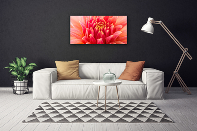 Quadro canvas Flor Planta Natureza