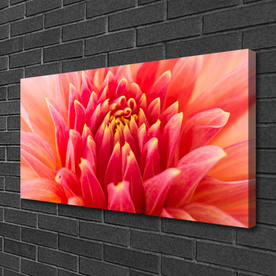 Quadro canvas Flor Planta Natureza