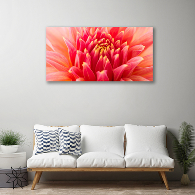 Quadro canvas Flor Planta Natureza