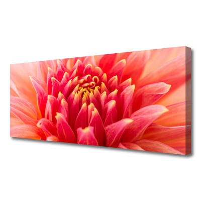 Quadro canvas Flor Planta Natureza