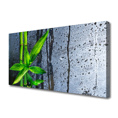 Quadro canvas Planta de folha de bambu Natureza