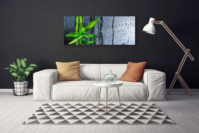 Quadro canvas Planta de folha de bambu Natureza