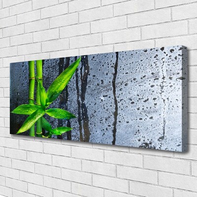 Quadro canvas Planta de folha de bambu Natureza