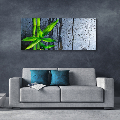 Quadro canvas Planta de folha de bambu Natureza