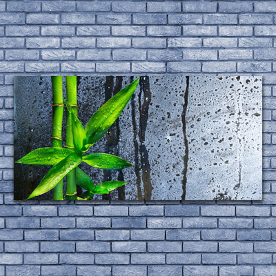Quadro canvas Planta de folha de bambu Natureza