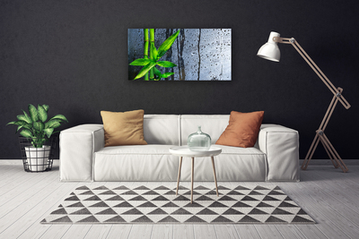 Quadro canvas Planta de folha de bambu Natureza