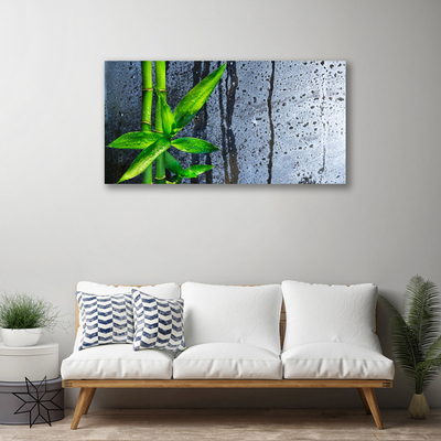 Quadro canvas Planta de folha de bambu Natureza
