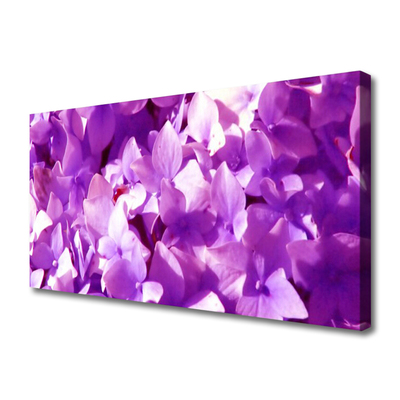 Quadro canvas Flores Planta Natureza