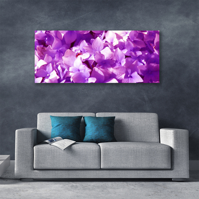 Quadro canvas Flores Planta Natureza