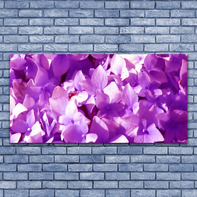 Quadro canvas Flores Planta Natureza