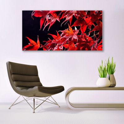 Quadro em tela Folhas Natureza Planta