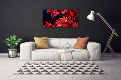 Quadro em tela Folhas Natureza Planta