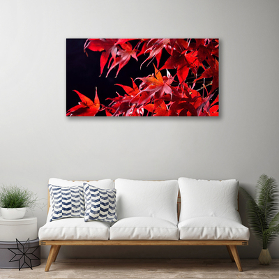 Quadro em tela Folhas Natureza Planta