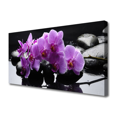 Quadro canvas Planta de pedras de flores