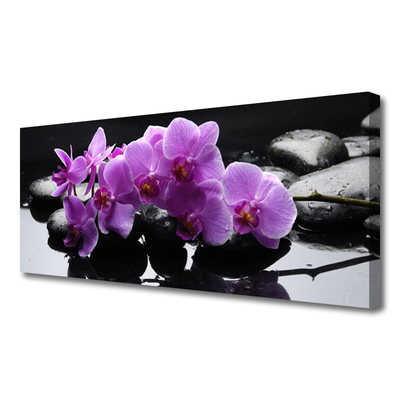 Quadro canvas Planta de pedras de flores
