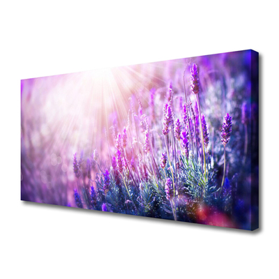 Quadro em tela Flores Planta Natureza