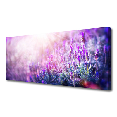 Quadro em tela Flores Planta Natureza