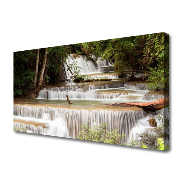 Quadro canvas Cachoeira Floresta Natureza