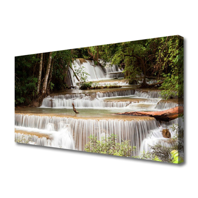 Quadro canvas Cachoeira Floresta Natureza