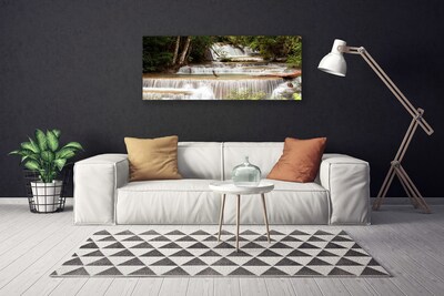 Quadro canvas Cachoeira Floresta Natureza