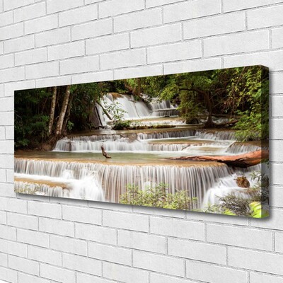Quadro canvas Cachoeira Floresta Natureza