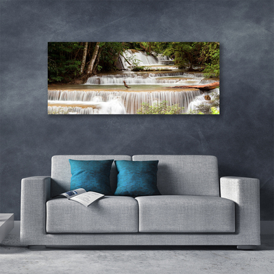 Quadro canvas Cachoeira Floresta Natureza