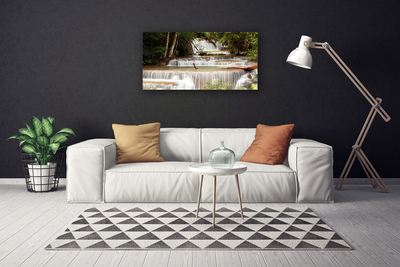 Quadro canvas Cachoeira Floresta Natureza