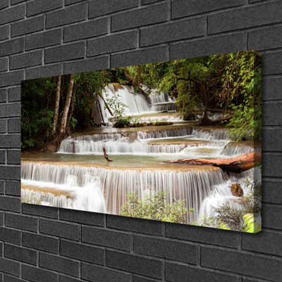 Quadro canvas Cachoeira Floresta Natureza