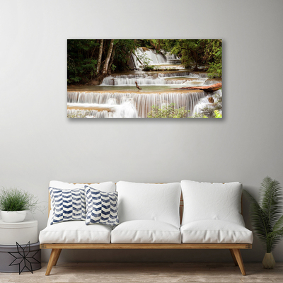 Quadro canvas Cachoeira Floresta Natureza