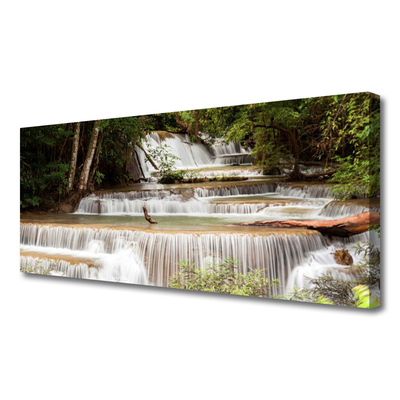 Quadro canvas Cachoeira Floresta Natureza