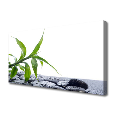 Quadro em tela Folha Natureza Pedras Planta