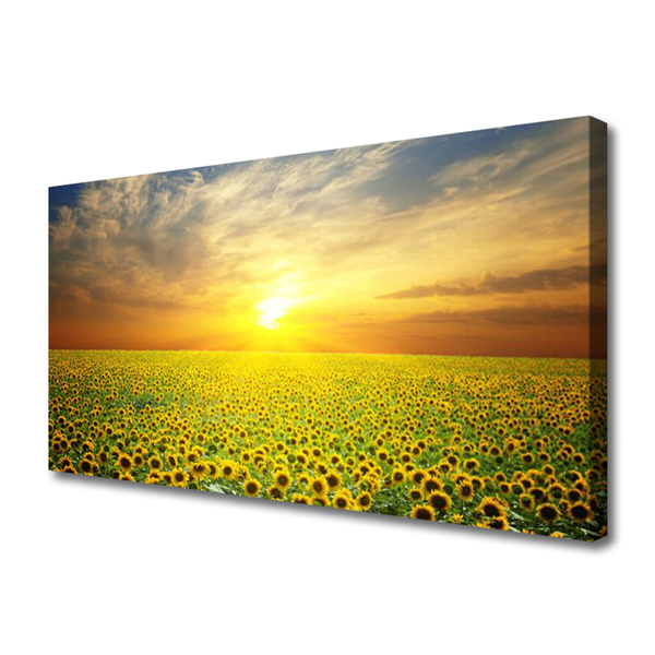 Quadro em tela Girassóis Sun Meadow