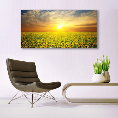 Quadro em tela Girassóis Sun Meadow