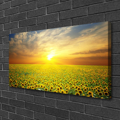Quadro em tela Girassóis Sun Meadow