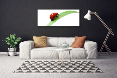 Quadro canvas Joaninha Folha Natureza