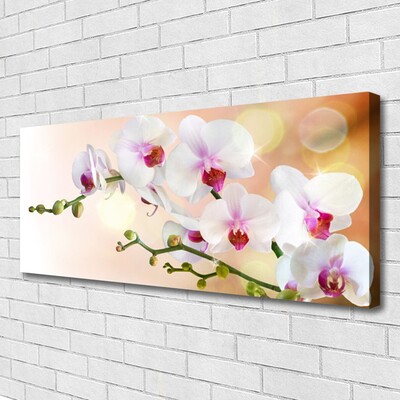 Quadro em tela Flores Planta Natureza
