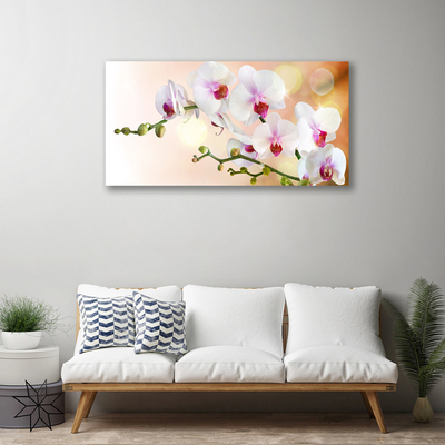Quadro em tela Flores Planta Natureza
