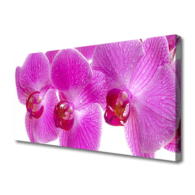 Quadro em tela Flores Planta Natureza
