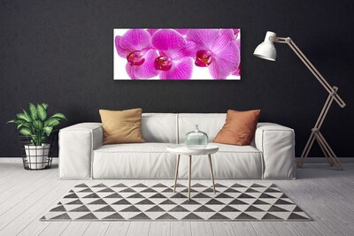 Quadro em tela Flores Planta Natureza