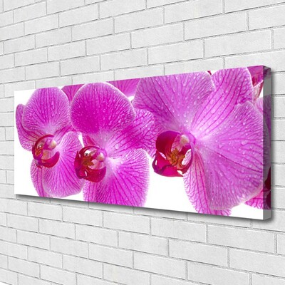 Quadro em tela Flores Planta Natureza