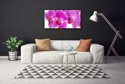 Quadro em tela Flores Planta Natureza